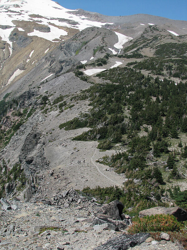 Gnarl Ridge & the Timberline Trail from above [Lamberson Butte, Mt. Hood Wilderness, Hood River County, Oregon]