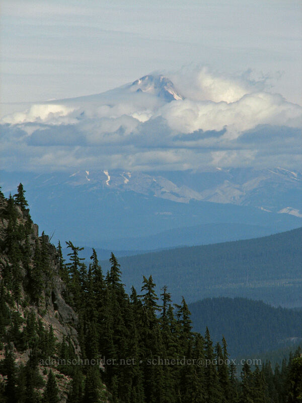 Mount Hood [Pacific Crest Trail, Mt. Jefferson Wilderness, Marion County, Oregon]