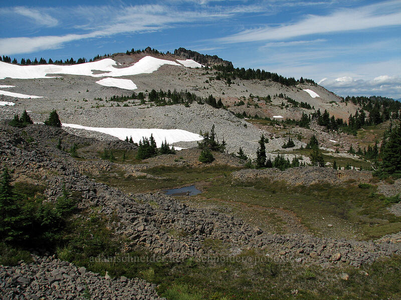 northern spur of Park Ridge [Pacific Crest Trail, Mt. Jefferson Wilderness, Marion County, Oregon]