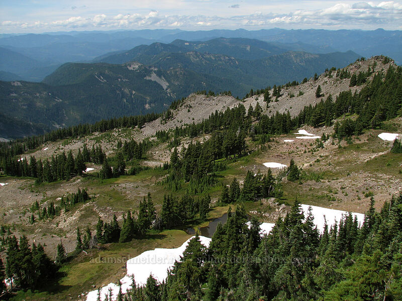 view to the northwest [Park Ridge, Mt. Jefferson Wilderness, Marion County, Oregon]