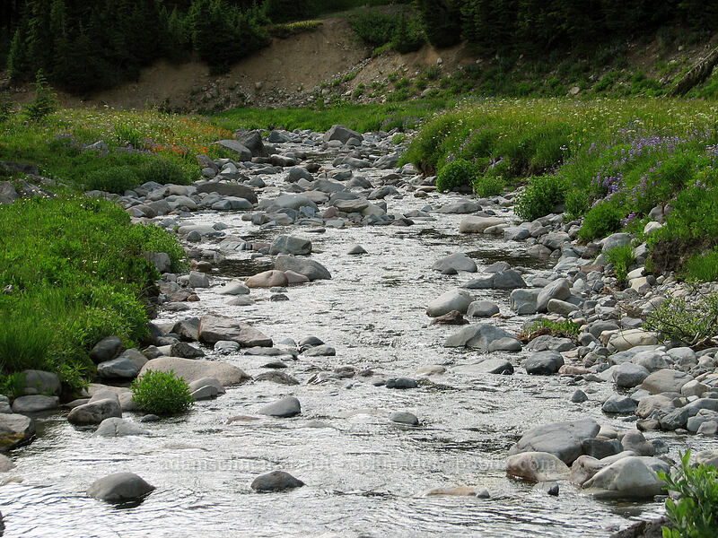 South Breitenbush River [Jefferson Park, Mt. Jefferson Wilderness, Marion County, Oregon]