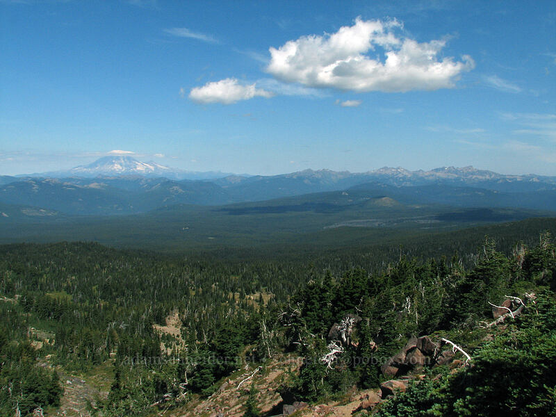 Mount Rainier & Goat Rocks [High Camp Trail, Mt. Adams Wilderness, Skamania County, Washington]