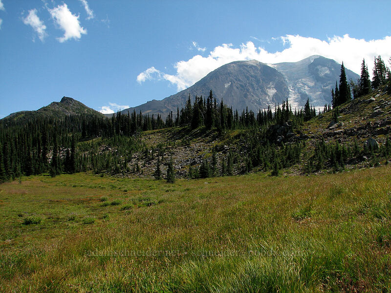 Mount Adams [Pacific Crest Trail, Mt. Adams Wilderness, Skamania County, Washington]