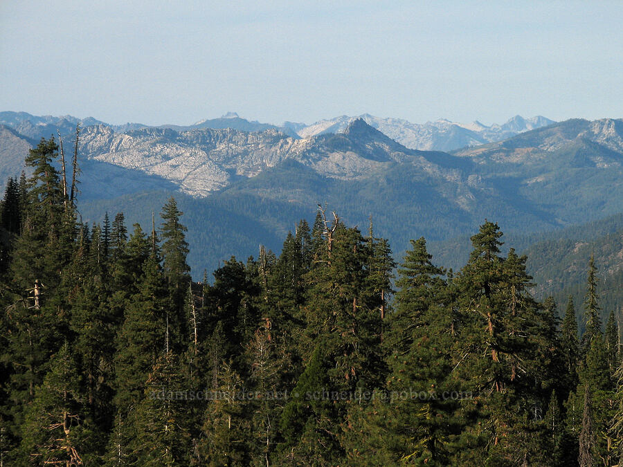 Trinity Alps [above Deadfall Meadows, Shasta-Trinity National Forest, Trinity County, California]