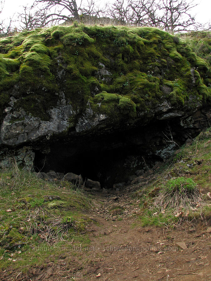 trailside cave [The Labyrinth, Gifford Pinchot National Forest, Klickitat County, Washington]