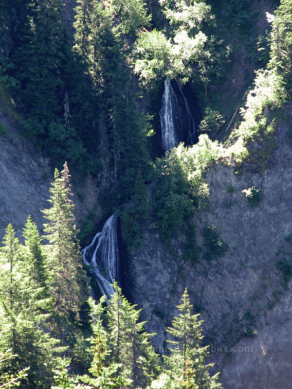 waterfalls on the north side of the valley [Bald Mountain Ridge, Mt. Hood Wilderness, Hood River County, Oregon]