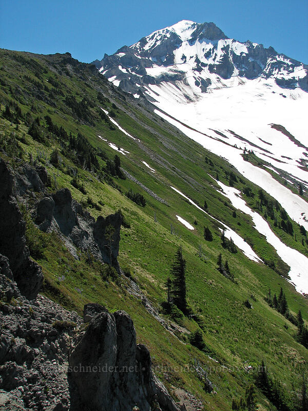 slope east of McNeil Point [above McNeil Point, Mt. Hood Wilderness, Clackamas County, Oregon]