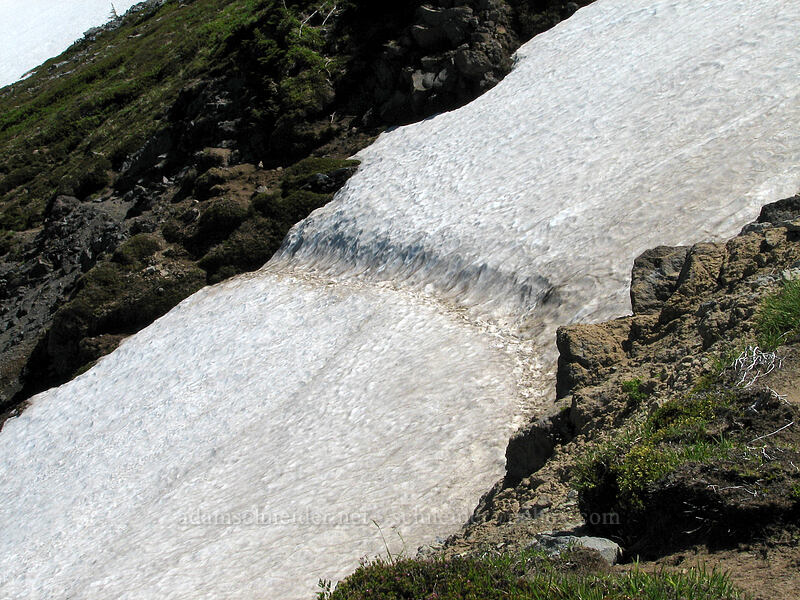trail cut into a snowfield [McNeil Point Trail, Mt. Hood Wilderness, Hood River County, Oregon]