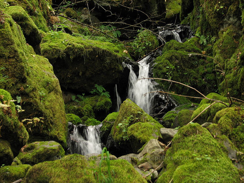 mossy waterfalls [Summit Creek Canyon, Columbia River Gorge, Hood River County, Oregon]