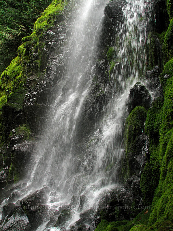 Summit Creek Falls [Summit Creek Canyon, Columbia River Gorge, Hood River County, Oregon]