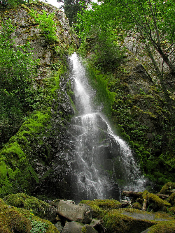 Summit Creek Falls [Summit Creek Canyon, Columbia River Gorge, Hood River County, Oregon]
