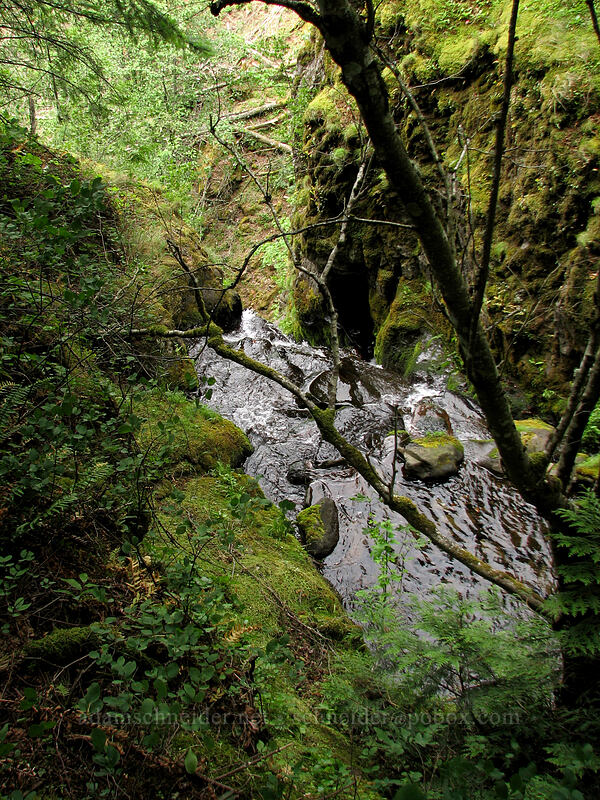 top of Summit Creek Falls [Summit Creek Canyon, Columbia River Gorge, Hood River County, Oregon]