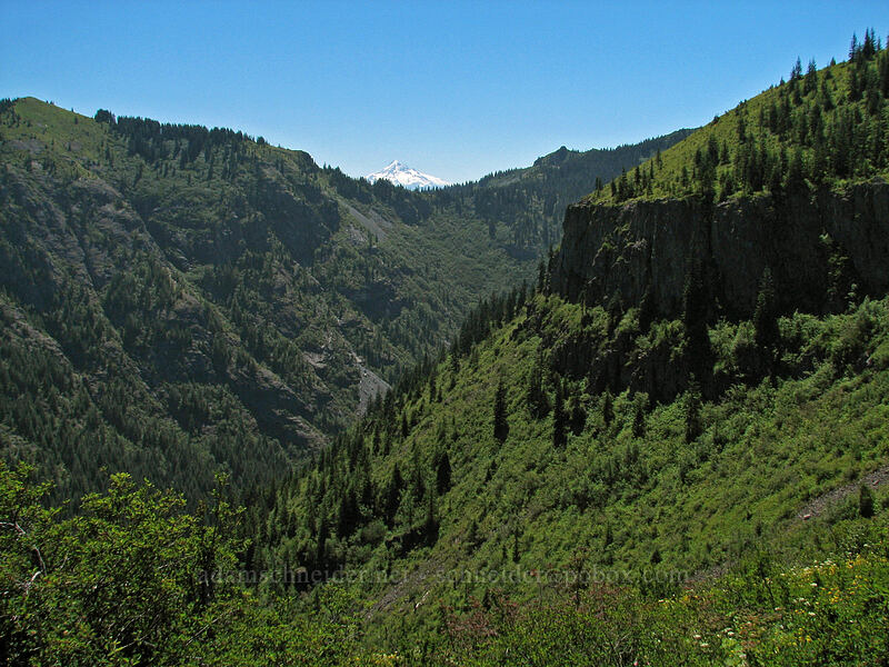 Starway Valley & Mt. Hood [Silver Star Mountain, Gifford Pinchot Nat'l Forest, Skamania County, Washington]