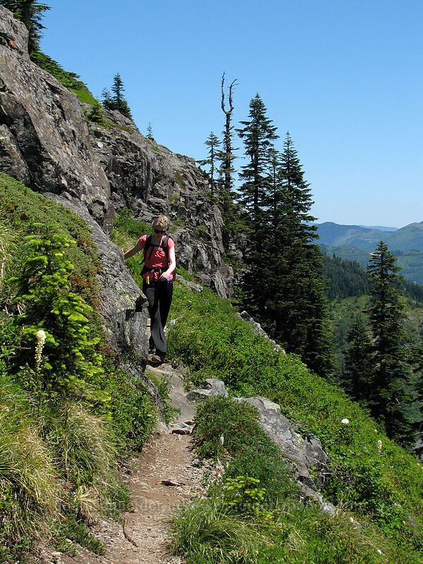 narrow section of Ed's Trail [Ed's Trail, Silver Star Mountain, Gifford Pinchot Nat'l Forest, Skamania County, Washington]