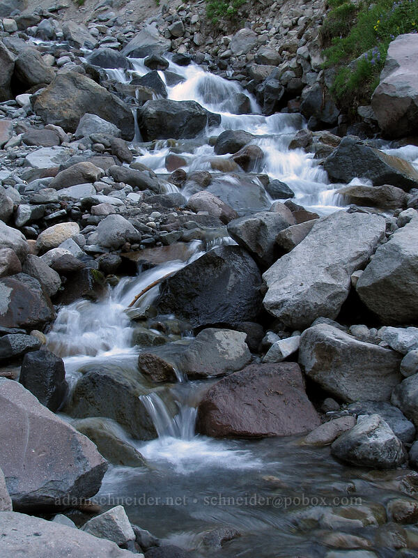 west fork of Ladd Creek [Timberline Trail, Mt. Hood Wilderness, Hood River County, Oregon]