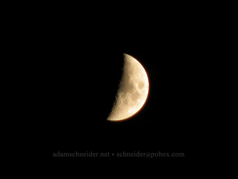 half moon [Vista Ridge Trailhead, Mt. Hood National Forest, Hood River County, Oregon]