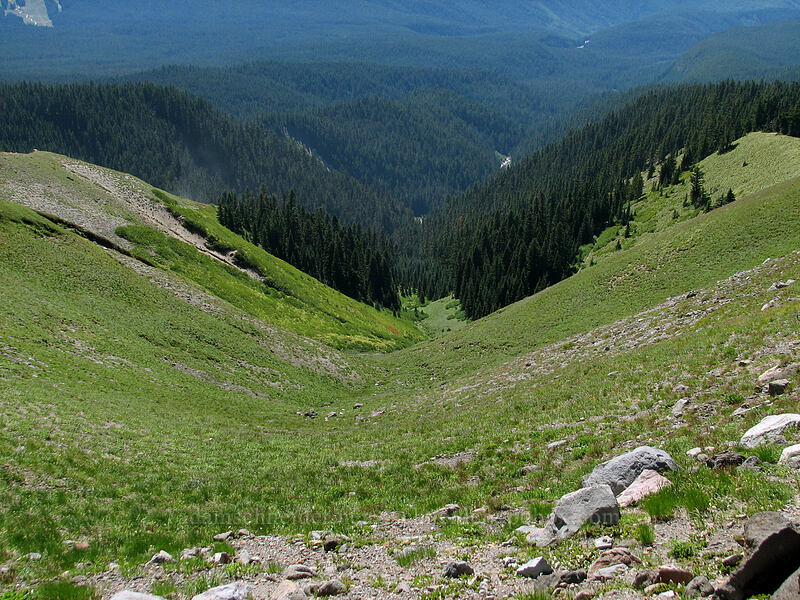 green valley north of Zigzag Canyon, from above [Paradise Park, Mt. Hood Wilderness, Clackamas County, Oregon]