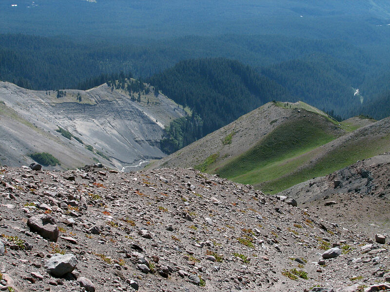 view down the canyon [west rim of Zigzag Canyon, Mt. Hood Wilderness, Clackamas County, Oregon]