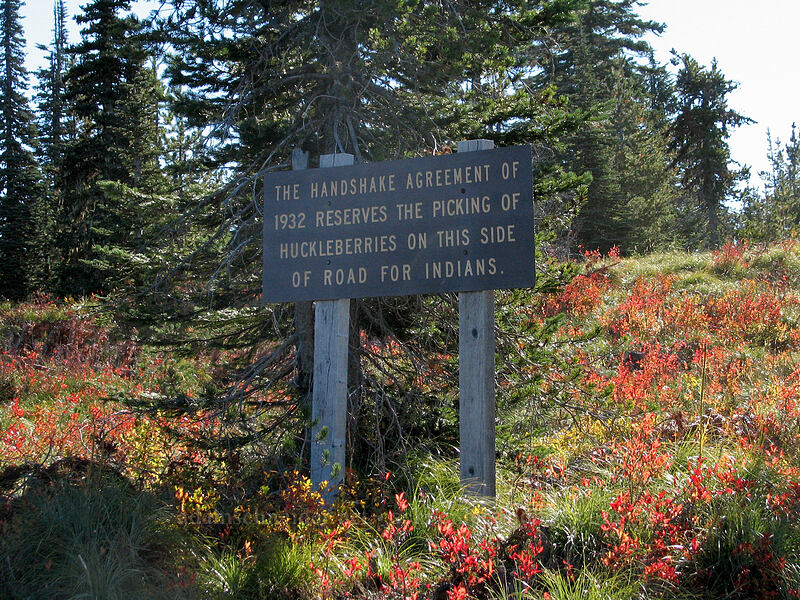 huckleberry sign [Forest Road 24, Gifford Pinchot Nat'l Forest, Skamania County, Washington]
