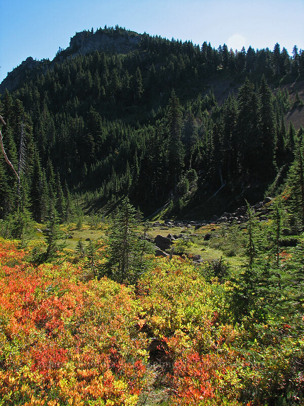 north side of Lemei Rock [Lemei Trail, Indian Heaven Wilderness, Skamania County, Washington]