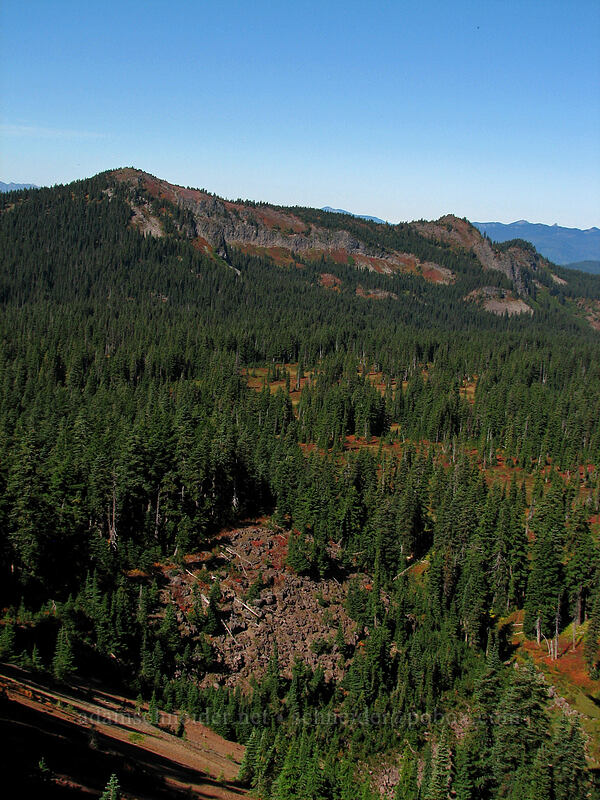 view toward Bird Mountain [NW ridge of Lemei Rock, Indian Heaven Wilderness, Skamania County, Washington]