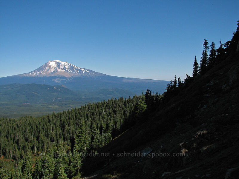 Mount Adams & the north side of Lemei Rock [NW ridge of Lemei Rock, Indian Heaven Wilderness, Skamania County, Washington]