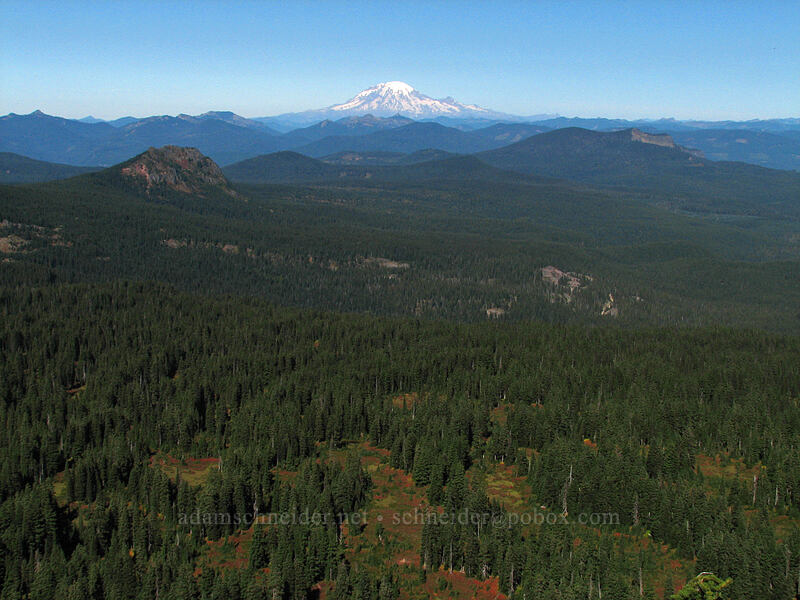 Mount Rainier [north summit of Lemei Rock, Indian Heaven Wilderness, Skamania County, Washington]