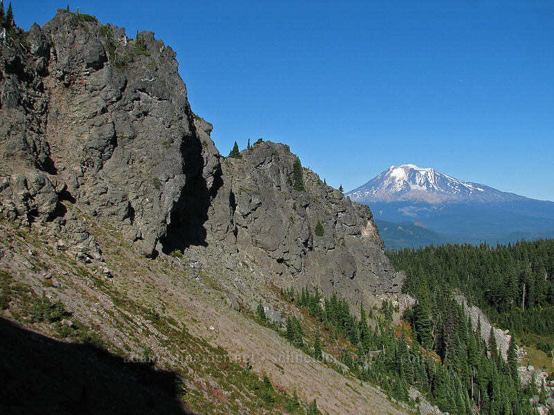 north summit of Lemei Rock & Mount Adams [east side of Lemei Rock, Indian Heaven Wilderness, Skamania County, Washington]
