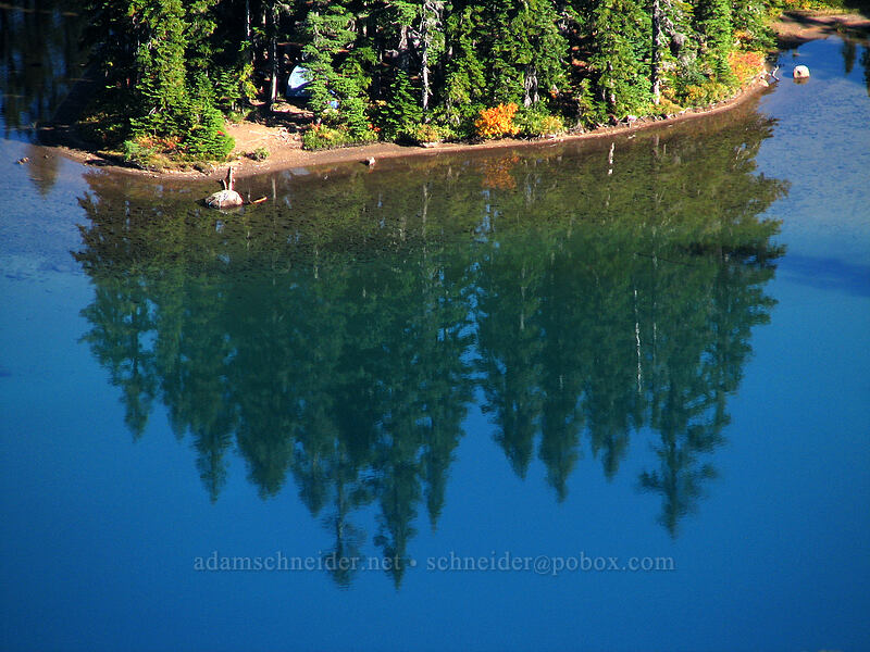 campsite by Wapiki Lake [Lemei Trail, Indian Heaven Wilderness, Skamania County, Washington]