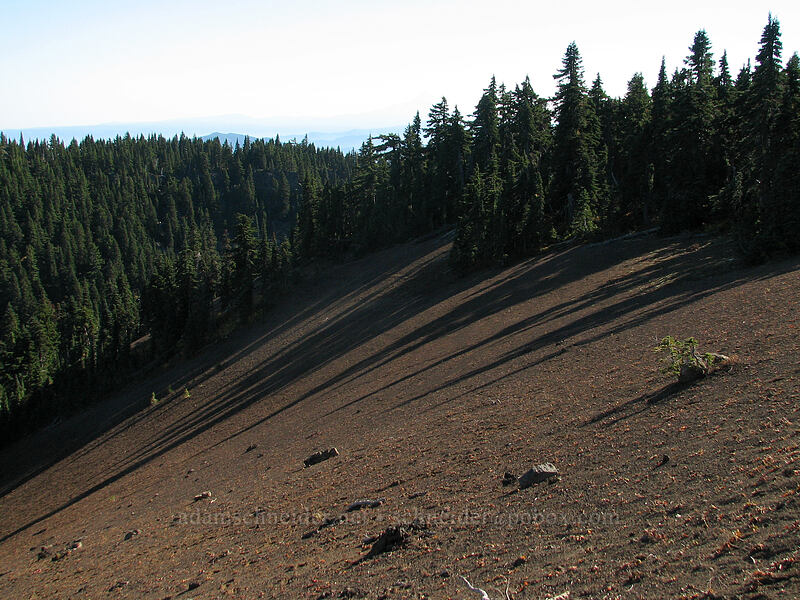 slope above Wapiki Lake [Lemei Trail, Indian Heaven Wilderness, Skamania County, Washington]