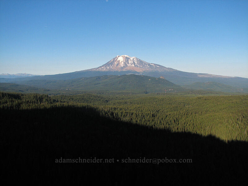Mount Adams [Indian Heaven Trail, Indian Heaven Wilderness, Skamania County, Washington]