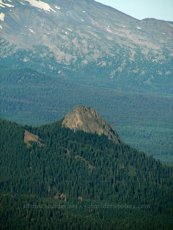 Sleeping Beauty [Indian Heaven Trail, Indian Heaven Wilderness, Skamania County, Washington]
