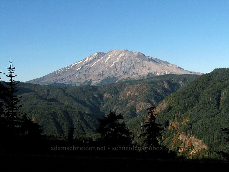 Mount St. Helens [Forest Road 25, Gifford Pinchot Nat'l Forest, Skamania County, Washington]