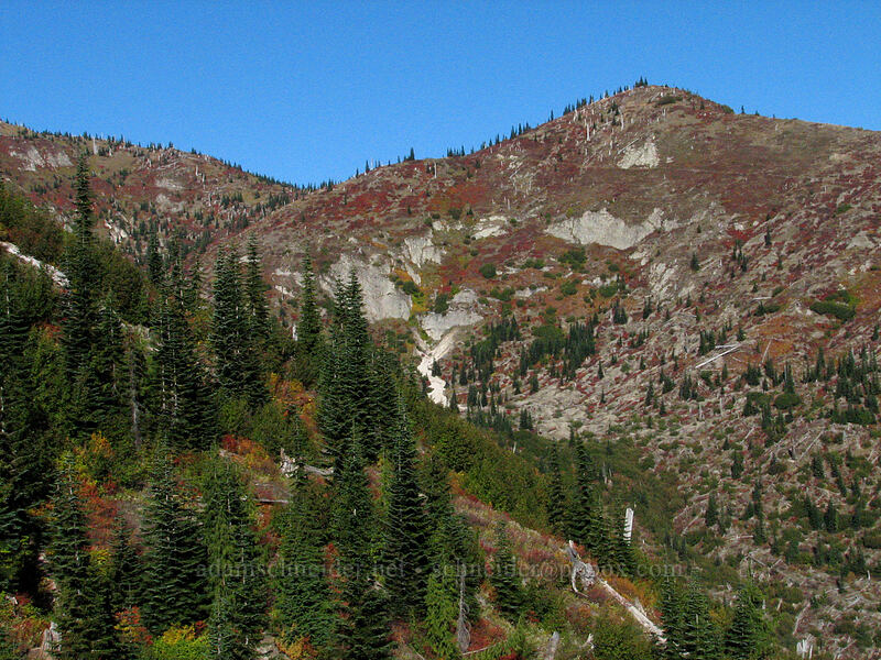 fall colors below Bear Pass [Boundary Trail, Gifford Pinchot Nat'l Forest, Skamania County, Washington]