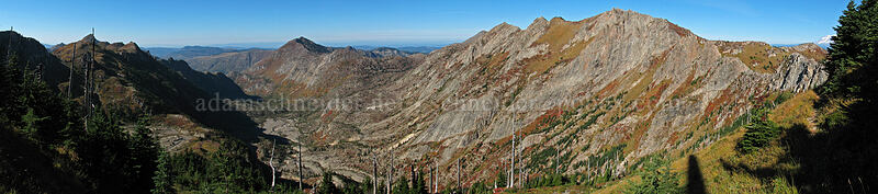 Mt. Whittier panorama [Mt. Whittier Trail, Mt. St. Helens National Volcanic Monument, Skamania County, Washington]