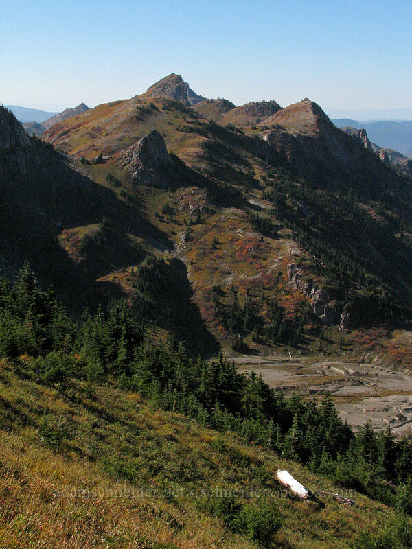 Coldwater Peak [Mt. Whittier Trail, Mt. St. Helens National Volcanic Monument, Skamania County, Washington]