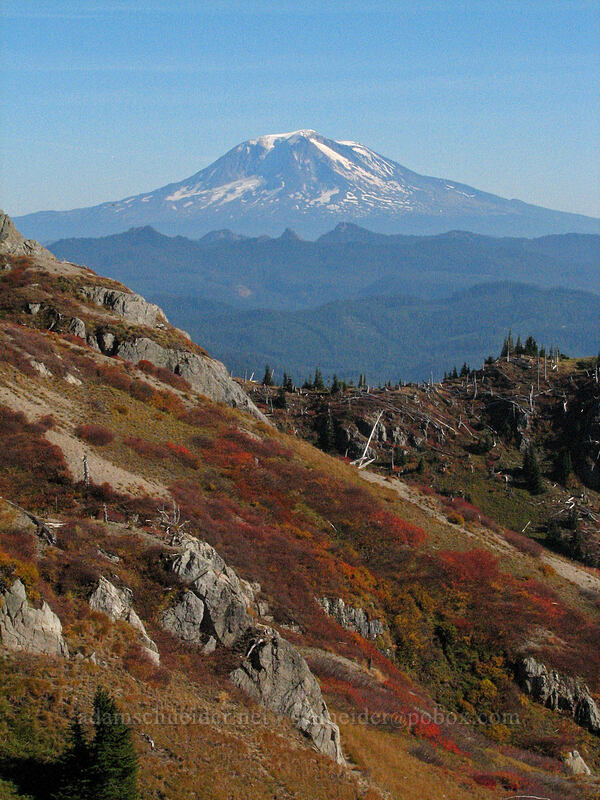 Mount Adams & fall colors [Boundary Trail, Mt. St. Helens National Volcanic Monument, Skamania County, Washington]