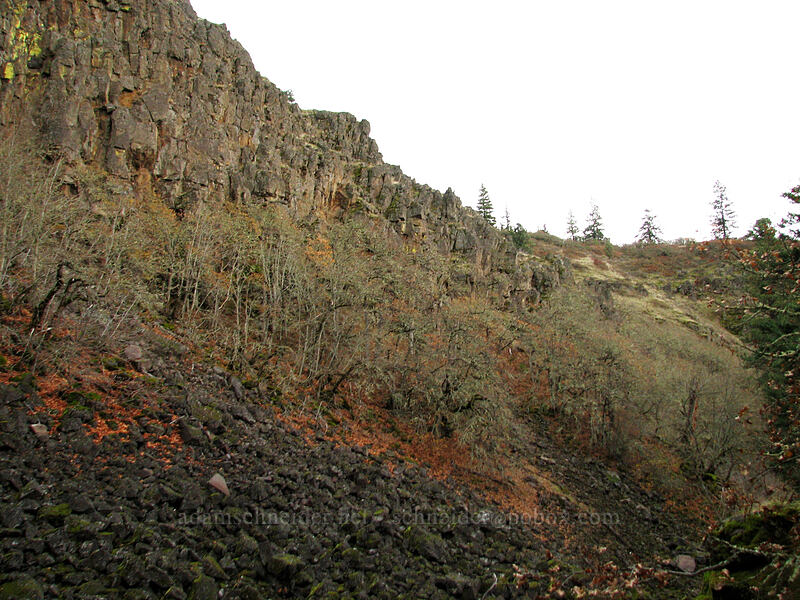 Coyote Wall [Wizard Trail, Klickitat County, Washington]