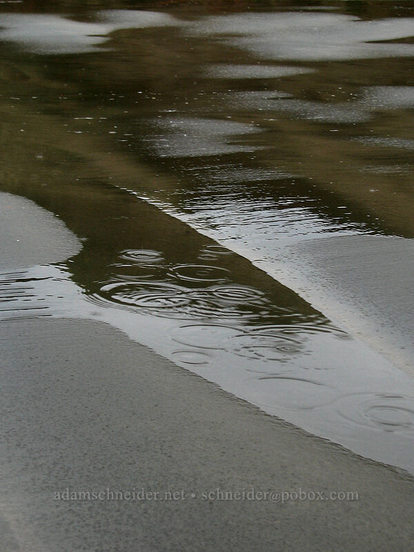 rain on the beach [Nye Beach, Newport, Lincoln County, Oregon]