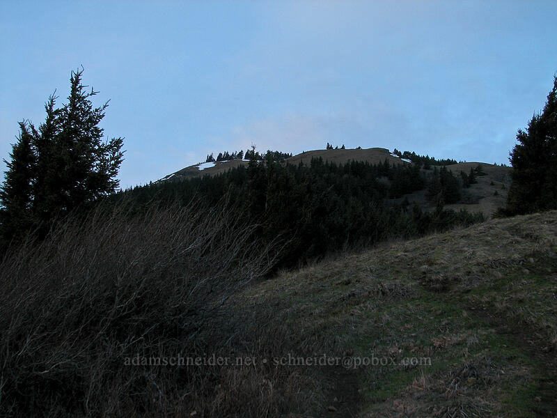 Dog Mountain's summit [Dog Mountain Trail, Gifford Pinchot National Forest, Skamania County, Washington]
