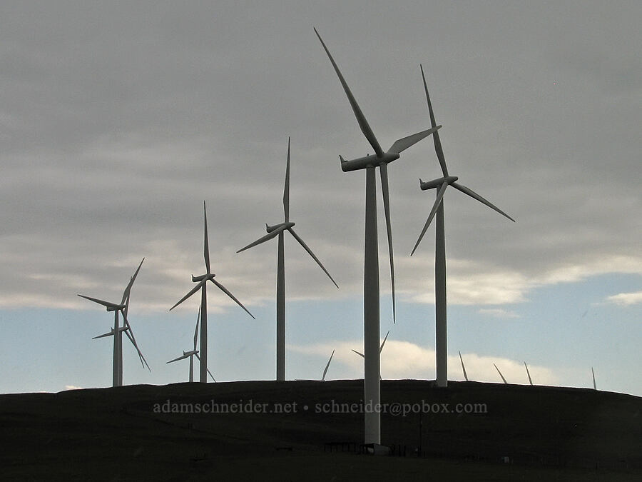 windmills [Highway 97, Klickitat County, Washington]