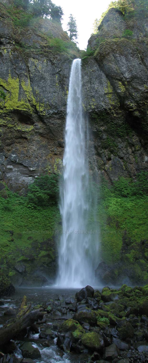Elowah Falls vertical panorama [Elowah Falls Trail, John B. Yeon State Park, Multnomah County, Oregon]