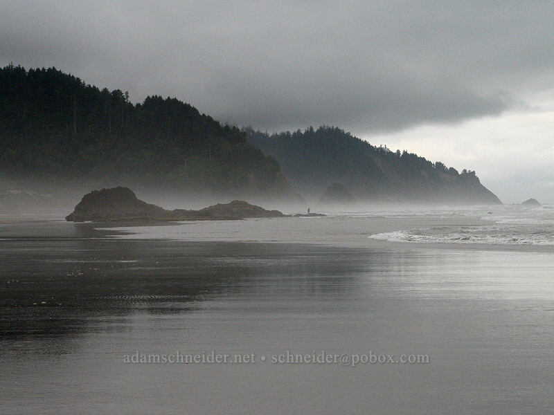misty shoreline [Hug Point, Clatsop County, Oregon]