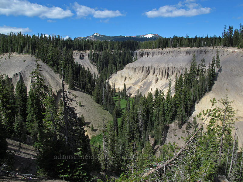 fossil fumaroles in Annie Creek Canyon [Crater Lake Highway, Crater Lake National Park, Klamath County, Oregon]