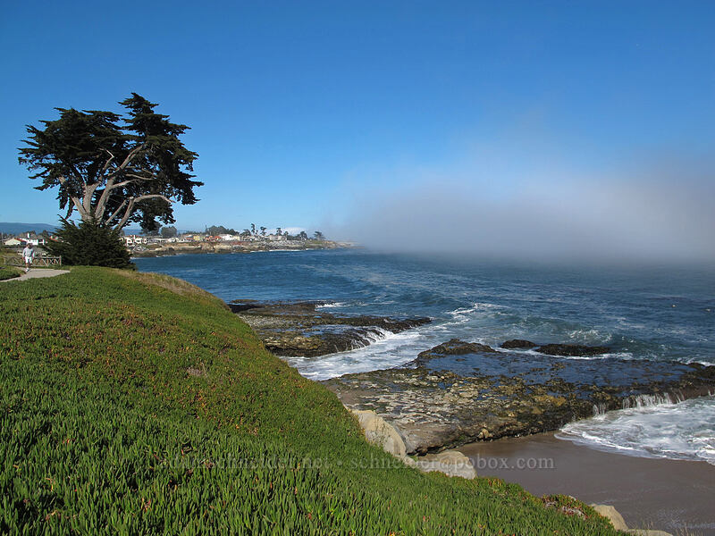 sun & fog [West Cliff Drive, Santa Cruz, California]