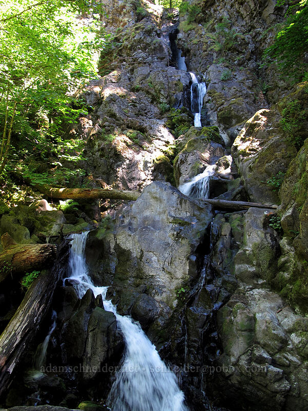 cascades [Hamilton Mountain Trail, Beacon Rock State Park, Skamania County, Washington]