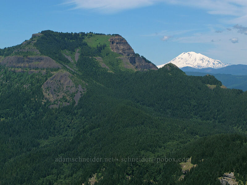 Table Mountain & Mt. Adams [Hamilton Mountain Trail, Beacon Rock State Park, Skamania County, Washington]