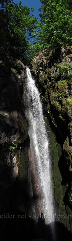 Rodney Falls [Hamilton Mountain Trail, Beacon Rock State Park, Skamania County, Washington]