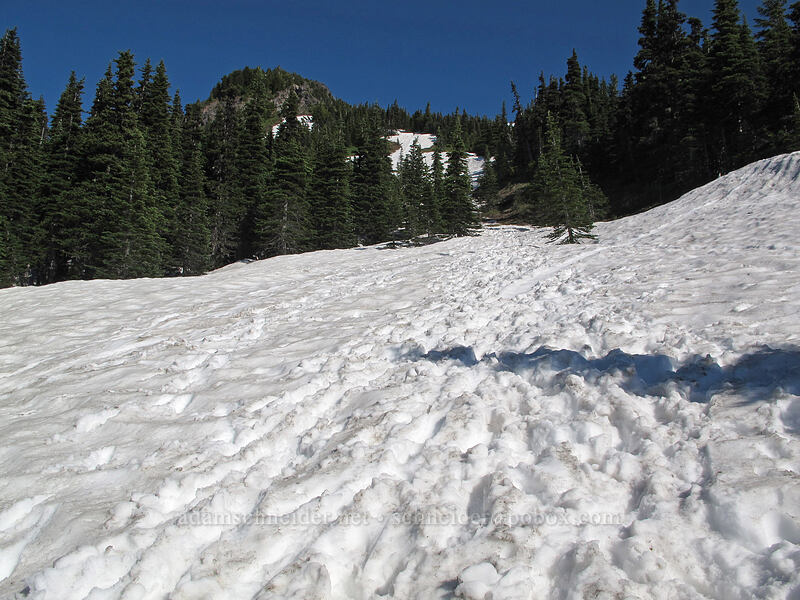 snow-covered scramble trail [McNeil Point Scramble Trail, Mt. Hood Wilderness, Hood River County, Oregon]