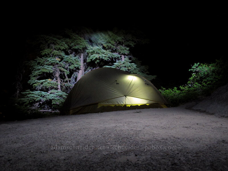 campsite [Paradise Park, Mt. Hood Wilderness, Clackamas County, Oregon]